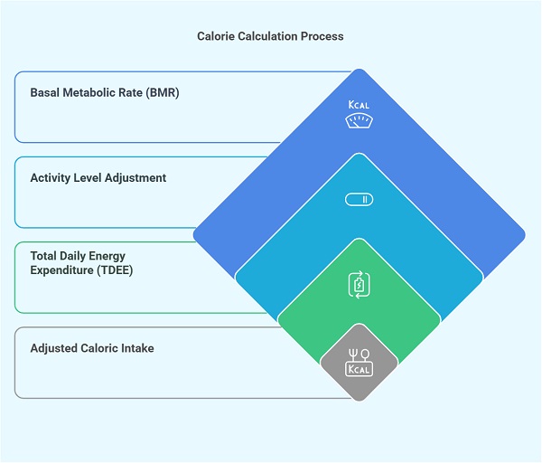 Calorie Calculator