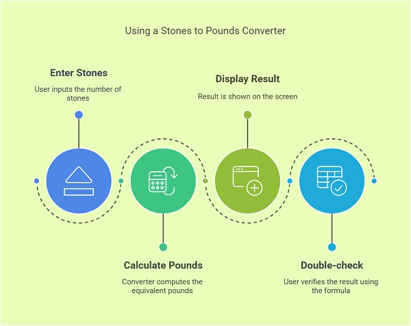 How to Use a Stones to Pounds Converter